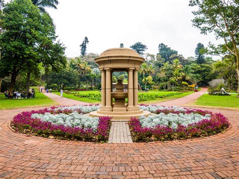  Durban Botanic Gardens, 아름다운 열대 식물과 풍부한 역사를 간직한 공원!